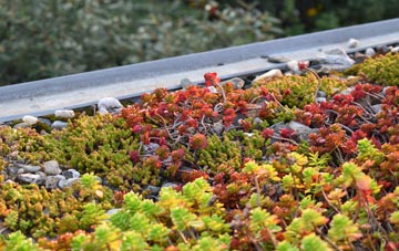 the cost of Elerch green roof installation