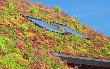 Elerch living roof systems