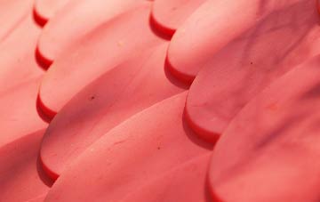 Elerch plastic roof costs