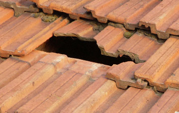 roof repair Elerch, Ceredigion